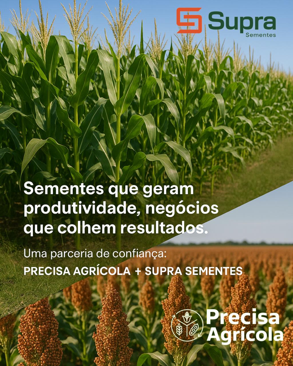 supra precisa.jpg